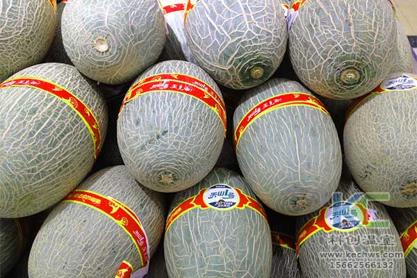 無(wú)土栽培，無(wú)土栽培技術(shù)，無(wú)土栽培設(shè)備