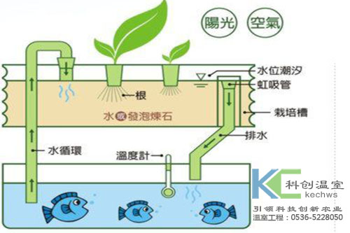 無(wú)土栽培，無(wú)土栽培技術(shù)，無(wú)土栽培設(shè)備
