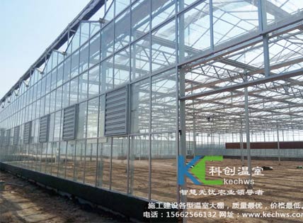 無(wú)土栽培，無(wú)土栽培技術(shù)，無(wú)土栽培設(shè)備
