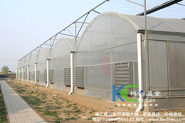 無(wú)土栽培，無(wú)土栽培技術(shù)，無(wú)土栽培設(shè)備