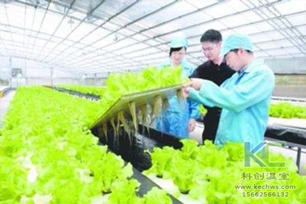 無(wú)土栽培，無(wú)土栽培技術(shù)，無(wú)土栽培設(shè)備