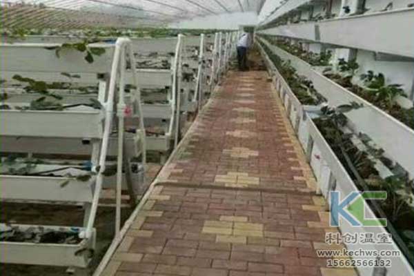 無土栽培，無土栽培技術(shù)，無土栽培設(shè)備