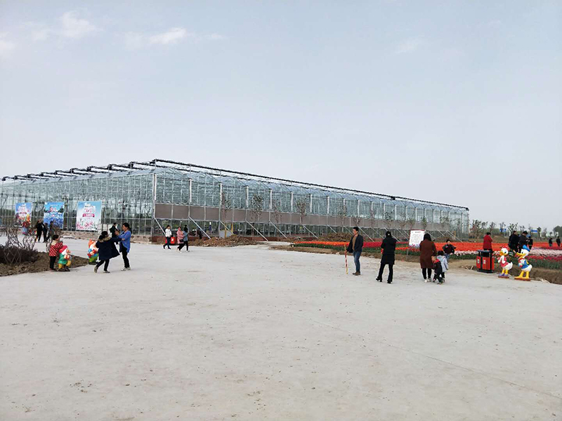 無土栽培，無土栽培技術(shù)，無土栽培設(shè)備
