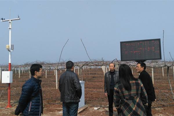 無土栽培，無土栽培技術(shù)，無土栽培設(shè)備