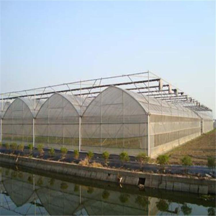 無土栽培，無土栽培技術(shù)，無土栽培設(shè)備